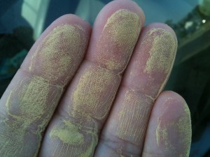 pollen_hand