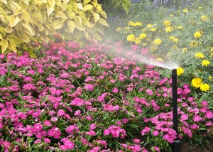 Flower irrigation system