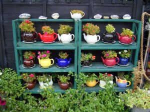 upcycle Tea pot herb garden
