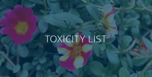 toxic plants