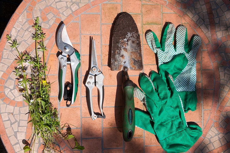 Gardening tools laid out on the ground