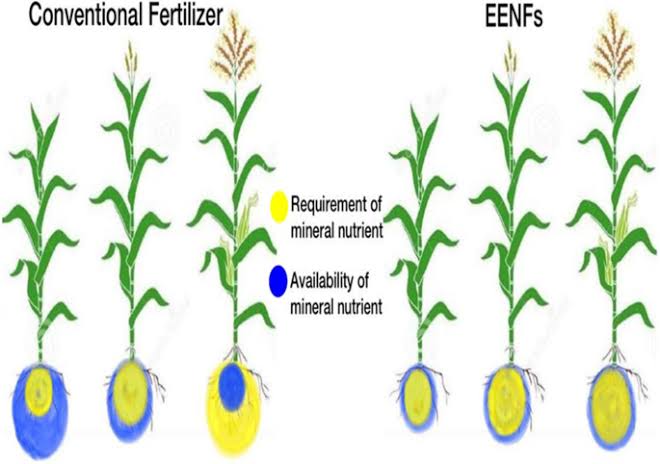 diagram of fertilizing your lawn